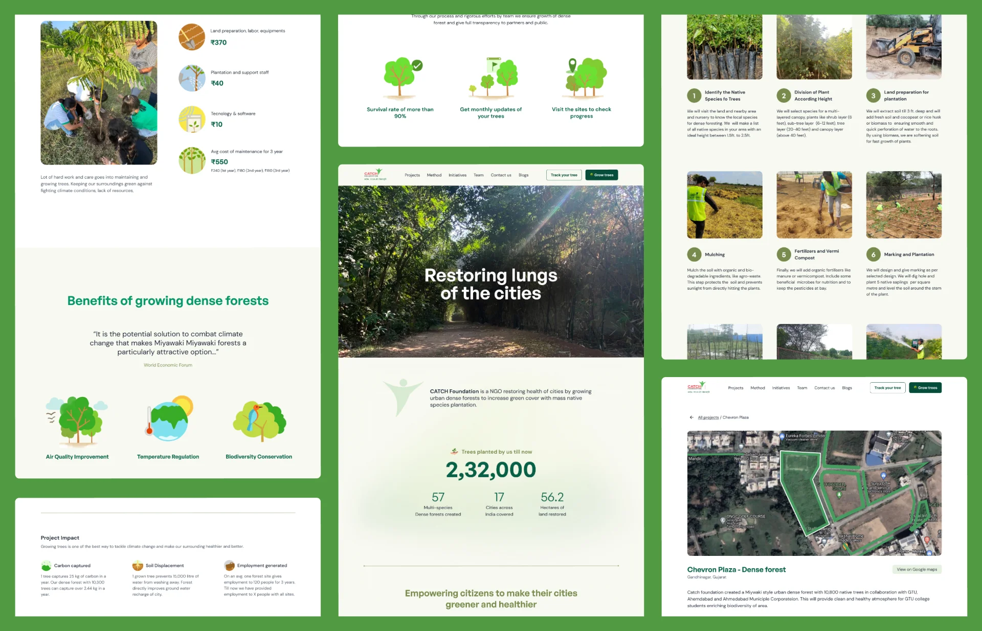 CATCH Foundation Website & Brand Identity